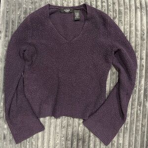 Express Deep Purple V-Neck Sweater